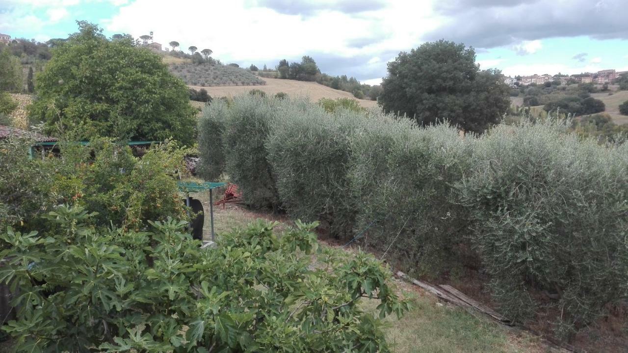 Agriturismo Cerquaglia Todi Kültér fotó